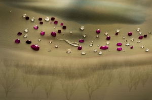 Khayyam Silver Trophy